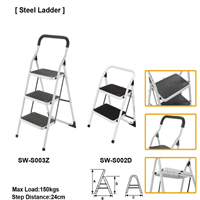 Ladder from mmcis china